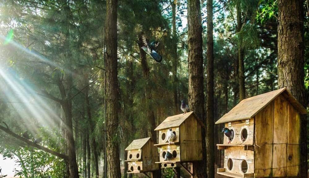Flamingos Dai Lai Resort - Luxury Ngoc Quang المظهر الخارجي الصورة